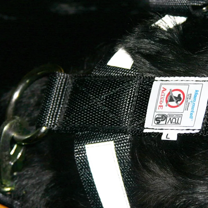 Bilbältessele till hunden