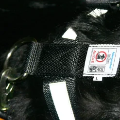 Bilbältessele till hunden