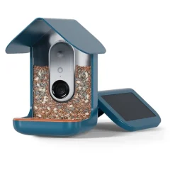 Fågelmatare med kamera, Birdbuddy
