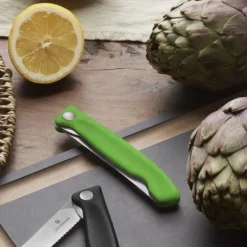 Fällbar picknickkniv med tandat blad