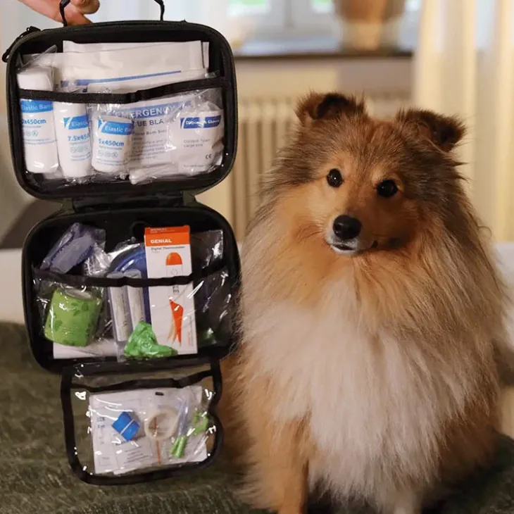 Första hjälpen-kit för hund och katt, Bered