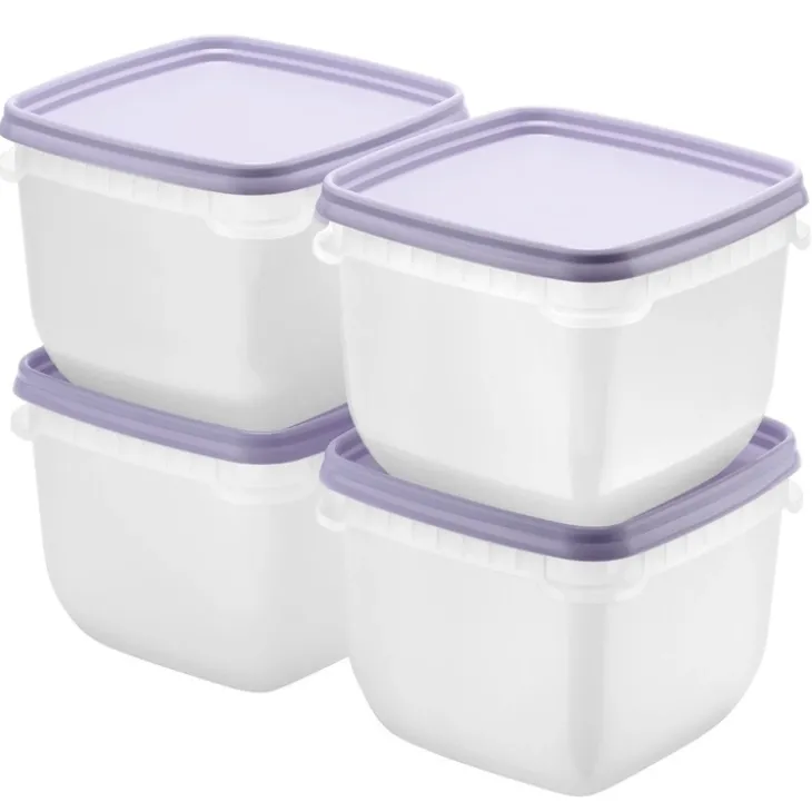 Fryslåda 0,75L 4-pack, SmartStore