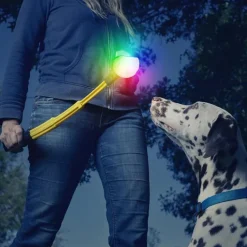 Hopfällbar bollkastare med LED-boll
