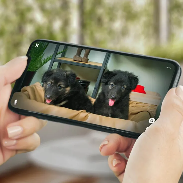 Husdjurskamera, PetCube
