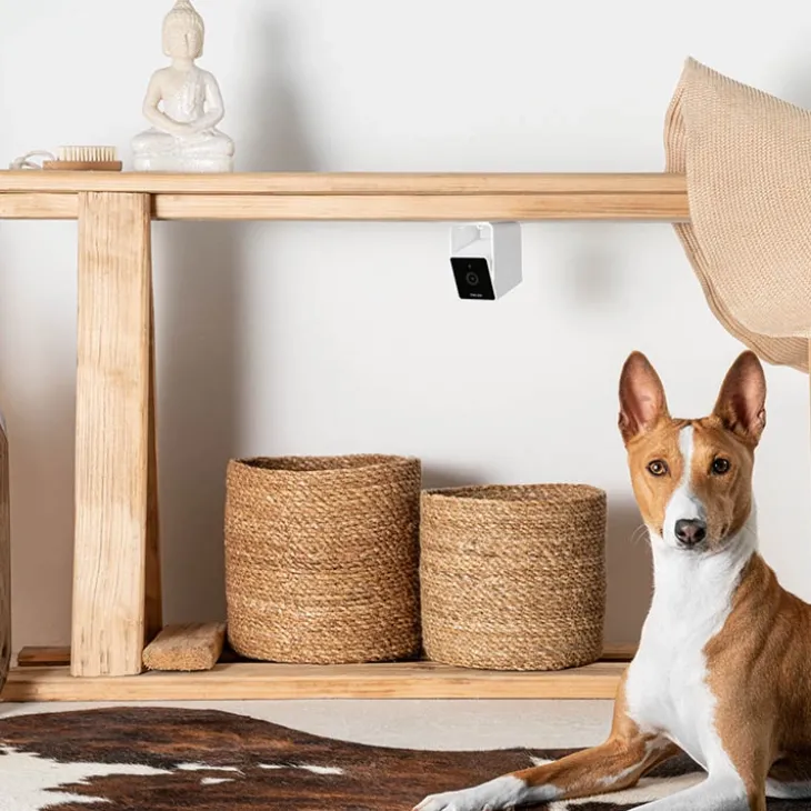 Husdjurskamera, PetCube