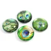 Magnet i glas 4-pack, Påfågel
