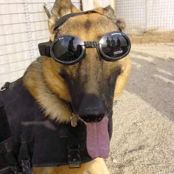 Solglasögon för hundar, Doggles