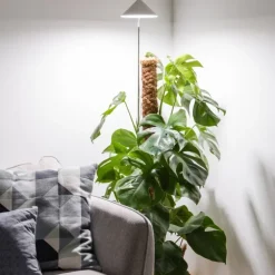 Växtlampa på spett XL 25W